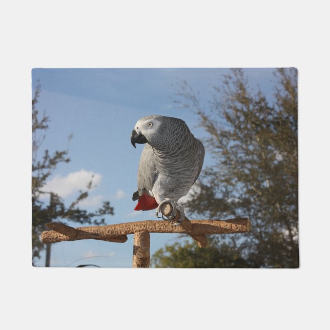 Stunning African Grey Parrot Doormat (Front)