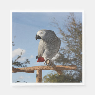 Stunning African Grey Parrot Napkin