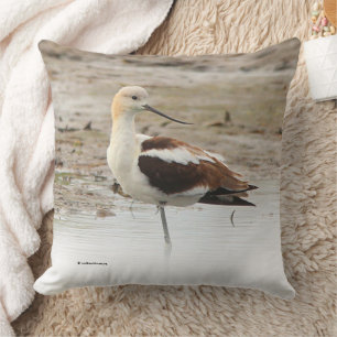 Stunning American Avocet Wading Bird at the Beach Cushion