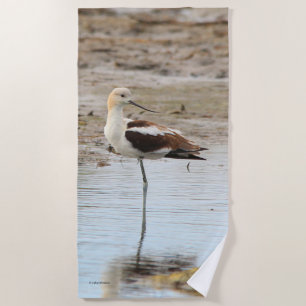 Stunning American Avocet Wading Bird at the Beach Towel