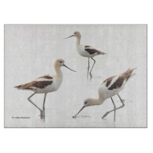 Stunning American Avocets Birds on the Beach Cutting Board