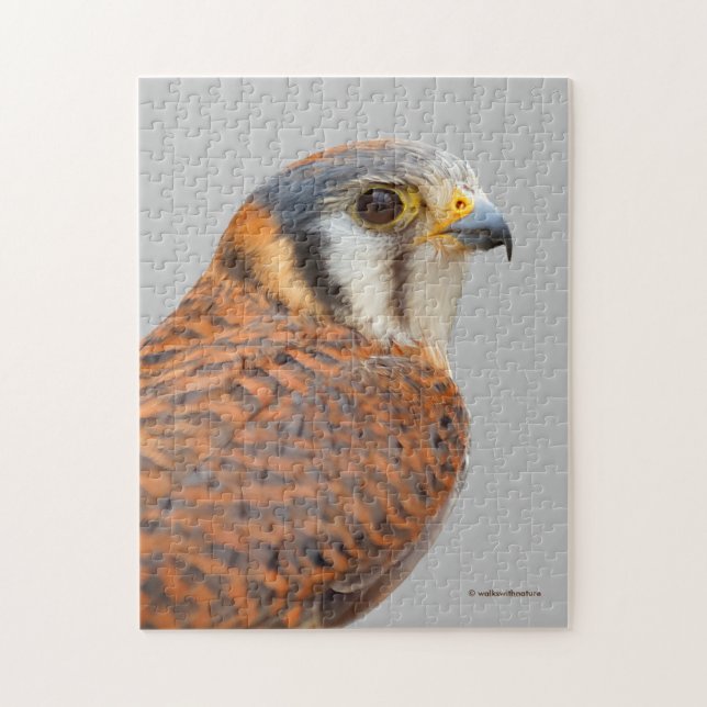 Stunning American Kestrel Sparrowhawk Falcon Jigsaw Puzzle (Vertical)
