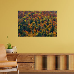 Stunning autumn forest poster