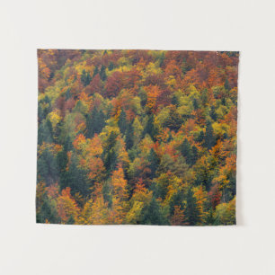 Stunning autumn forest tapestry