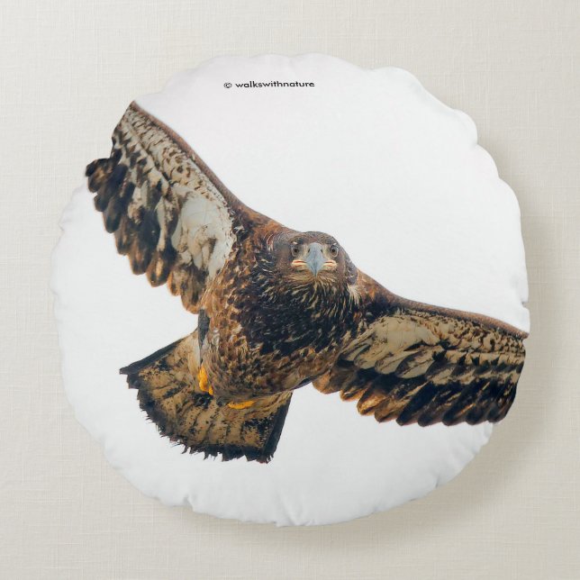 Stunning Bald Eagle Does a Flyover Round Cushion (Front)