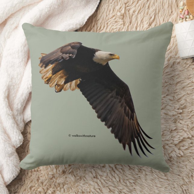 Stunning Bald Eagle in Flight Cushion (Blanket)