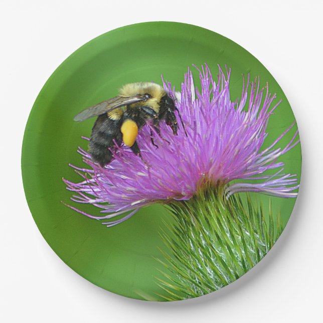 Stunning Bee And Thistle Paper Plate (Front)