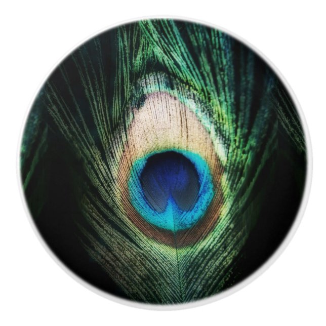 Stunning Black Peacock Ceramic Knob (Front)