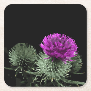 Stunning Black Thistle Square Paper Coaster
