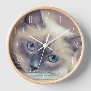 Stunning Blue Eyed Ragdoll‎ Cat Clock