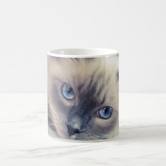 Stunning Blue Eyed Ragdoll‎ Cat Coffee Mug (Center)