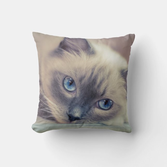 Stunning Blue Eyed Ragdoll‎ Cat Cushion (Front)