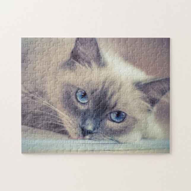 Stunning Blue Eyed Ragdoll‎ Cat Jigsaw Puzzle (Horizontal)