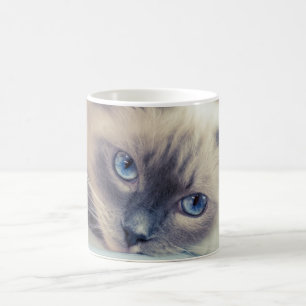 Stunning Blue Eyed Ragdoll Cat Magic Mug