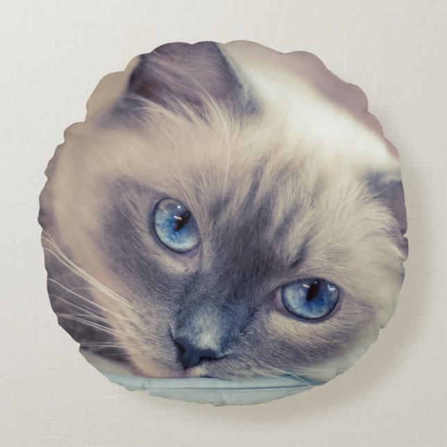 Stunning Blue Eyed Ragdoll‎ Cat Round Cushion (Front)