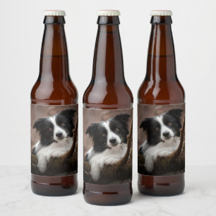 Stunning Border Collie Portrait Beer Bottle Label