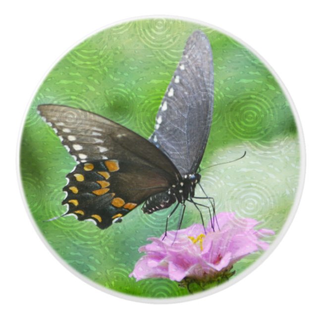 Stunning Butterfly Ceramic Knob (Front)
