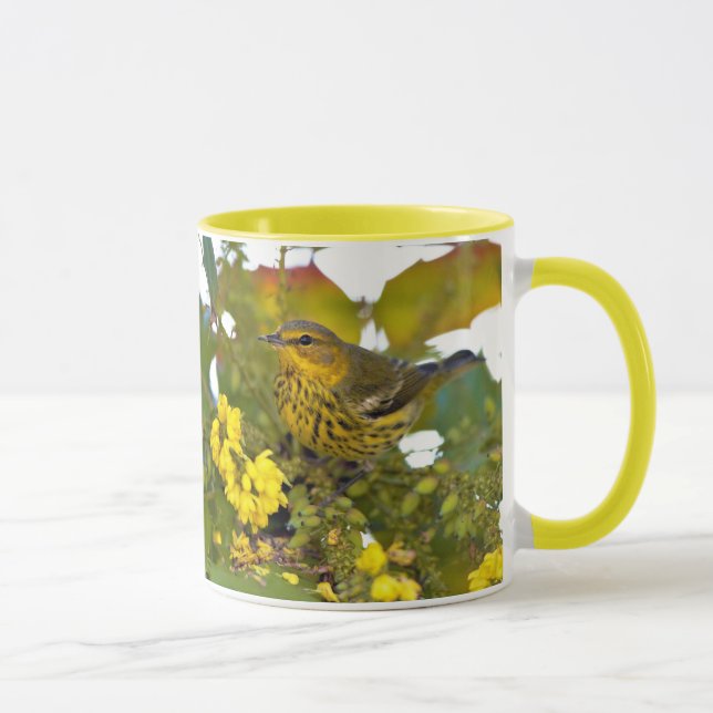 Stunning Cape May Warbler Songbird on Mahonia Mug (Right)