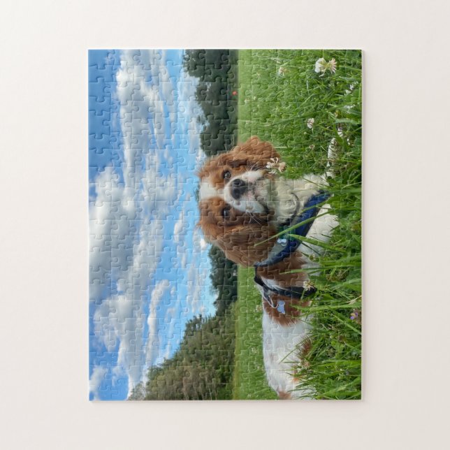 Stunning Cavalier King Charles Spaniel Puzzle (Vertical)