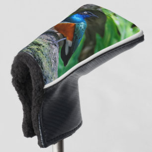 Stunning Colourful African Superb Starling Songbir Golf Head Cover