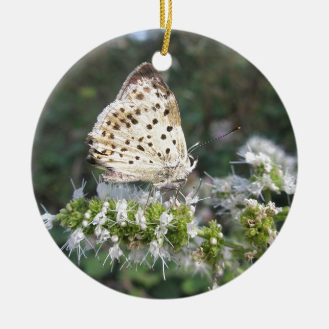 Stunning Cream and Chocolate Butterfly Ceramic Tree Decoration (Front)