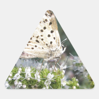 Stunning Cream and Chocolate Butterfly Triangle Sticker