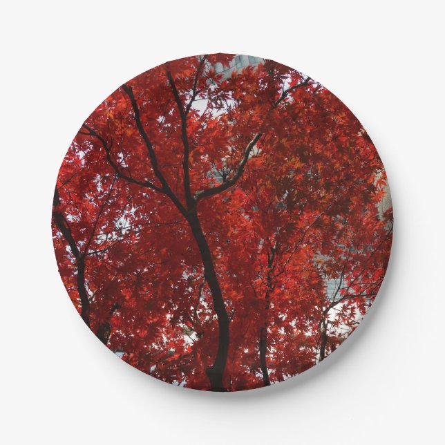 Stunning Crimson Leaves and Black Limbs on a Paper Plate (Front)