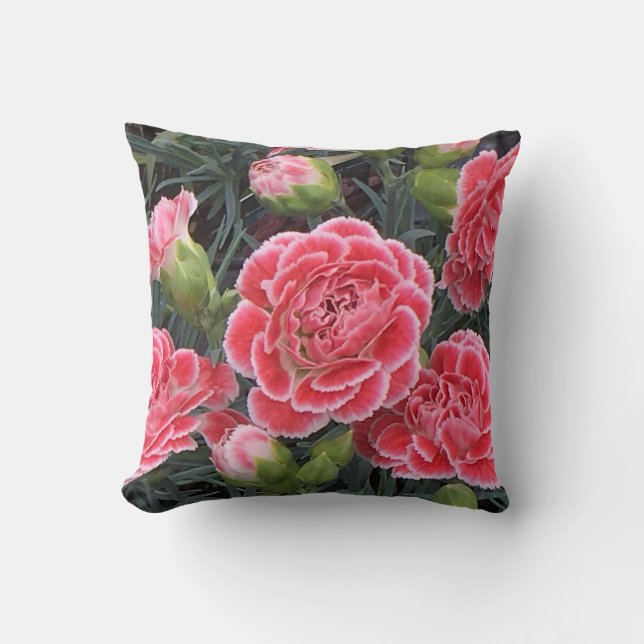 Stunning Dianthus Cushion (Front)