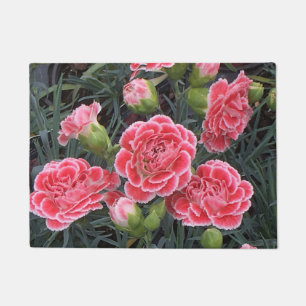 Stunning Dianthus Doormat