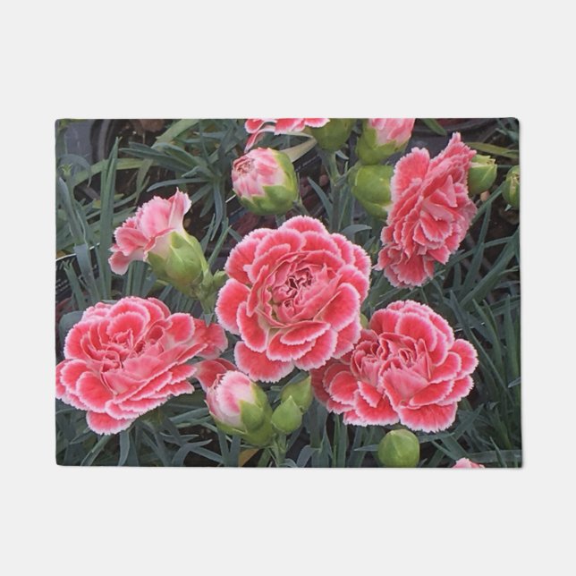 Stunning Dianthus Doormat (Front)