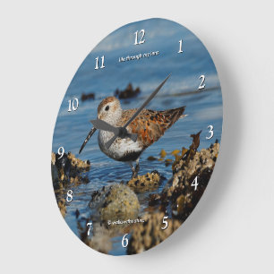Stunning Dunlin Sandpiper Shorebird at the Beach Large Clock