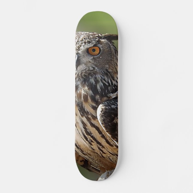 Stunning Eagle Owl with Orange Eyes Skateboard (Front)