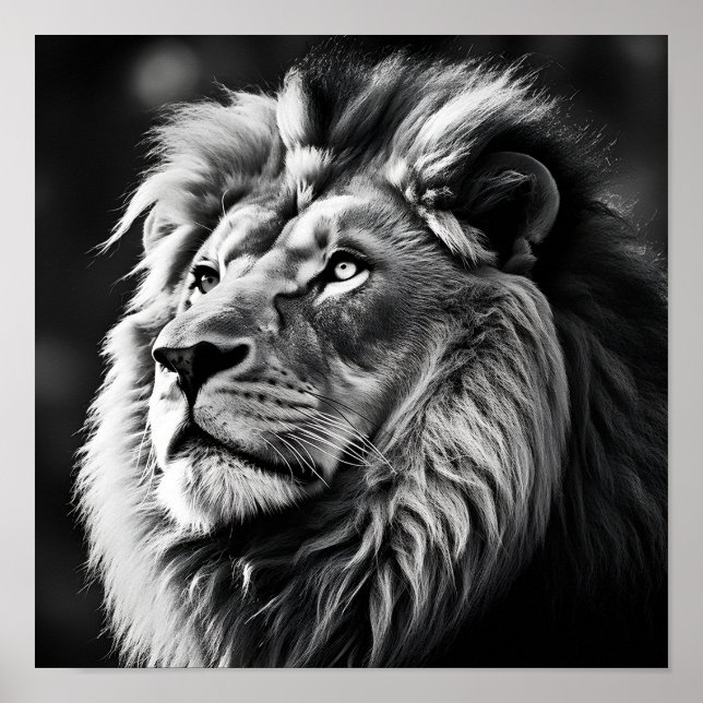 Stunning exotic lion digital print (Front)
