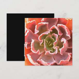 Stunning Garden Succulent Pink Tones Realistic Art Invitation