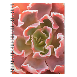Stunning Garden Succulent Pink Tones Realistic Art Notebook