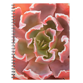 Stunning Garden Succulent Pink Tones Realistic Art Notebook