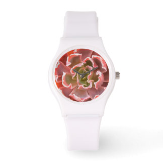Stunning Garden Succulent Pink Tones Realistic Art Watch