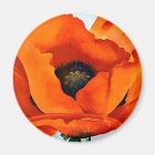 Stunning Georgia O'Keeffe Red Poppy