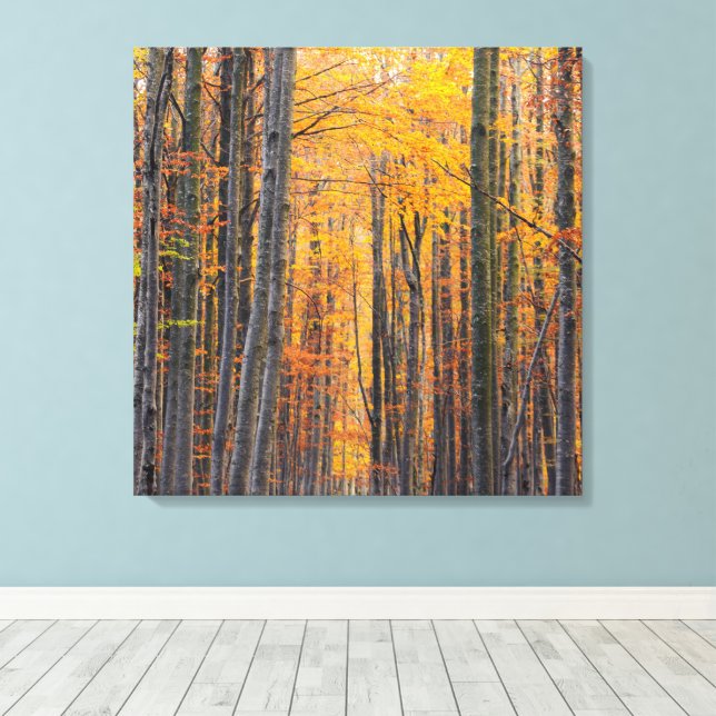 Stunning gold autumn forest canvas print (Insitu(Wood Floor))