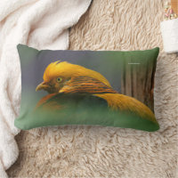 Stunning Golden Pheasant Gamebird