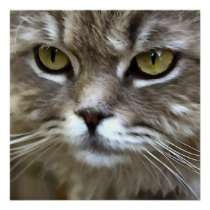 Stunning Grey Cat Pet Artistic Portrait Poster