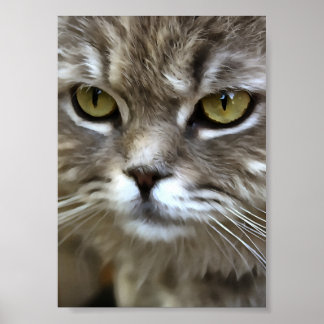 Stunning Grey Cat Pet Artistic Portrait Poster