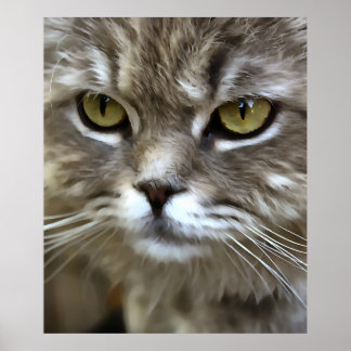 Stunning Grey Cat Pet Artistic Portrait Poster