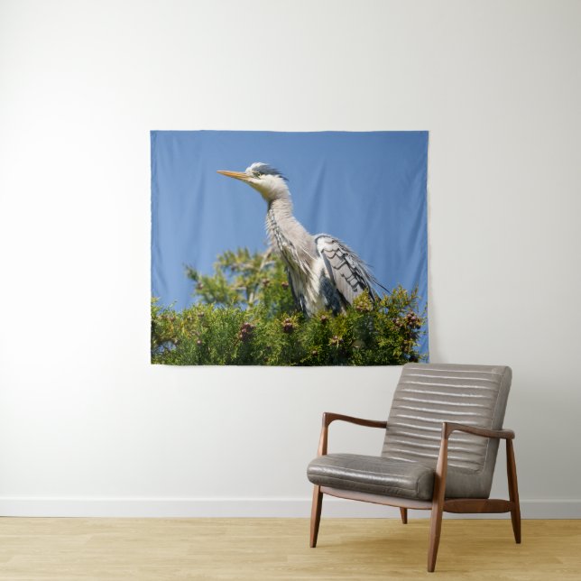 Stunning Grey Heron Sitting on Tree with Puffed Up Tapestry (In Situ (Horizontal))