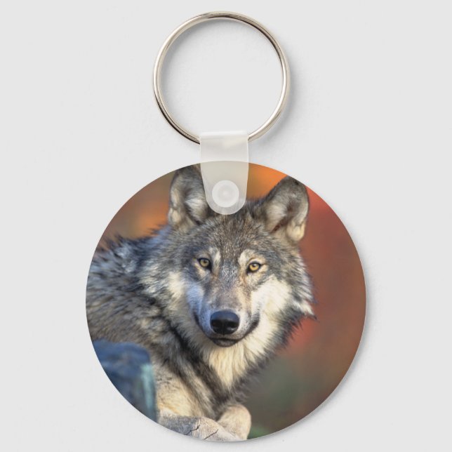Stunning grey wolf key ring (Front)