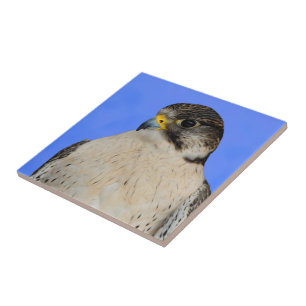 Stunning Gyrfalcon Saker Hybrid Falcon Tile