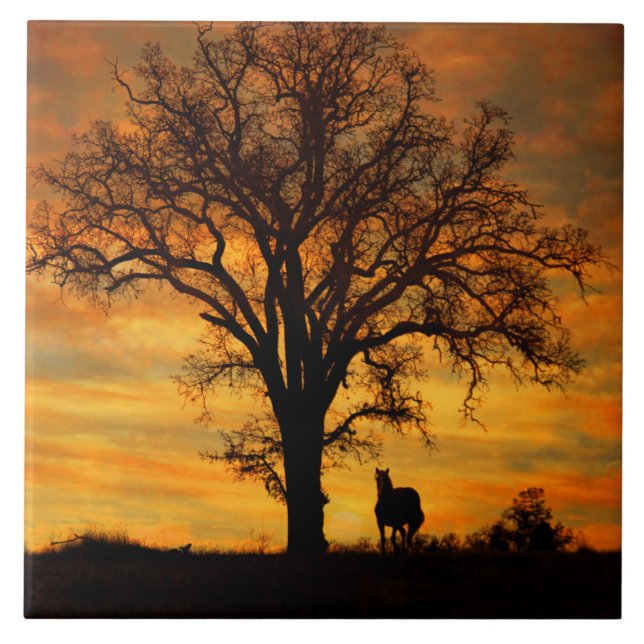 Stunning Horse and Oak Tree Nature Southwestern Tile (Front)