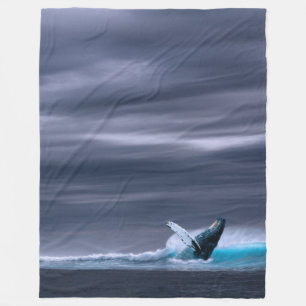 Stunning humpback whale fleece blanket