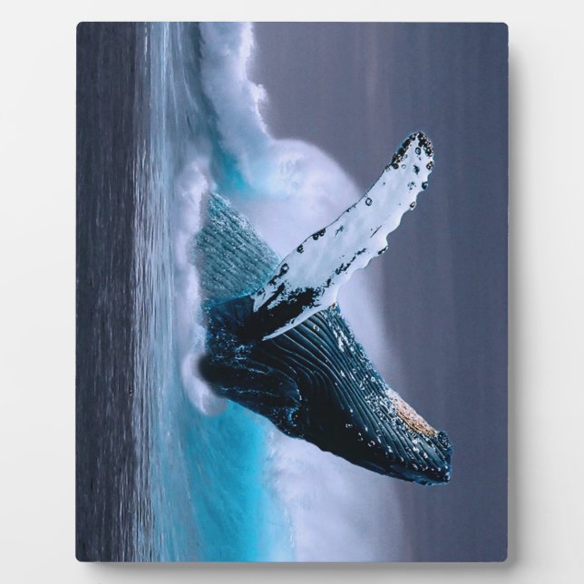 Stunning humpback whale plaque (Front)