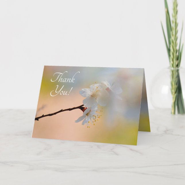 Stunning Japanese Apricot Flowers Thank You Card (Front)